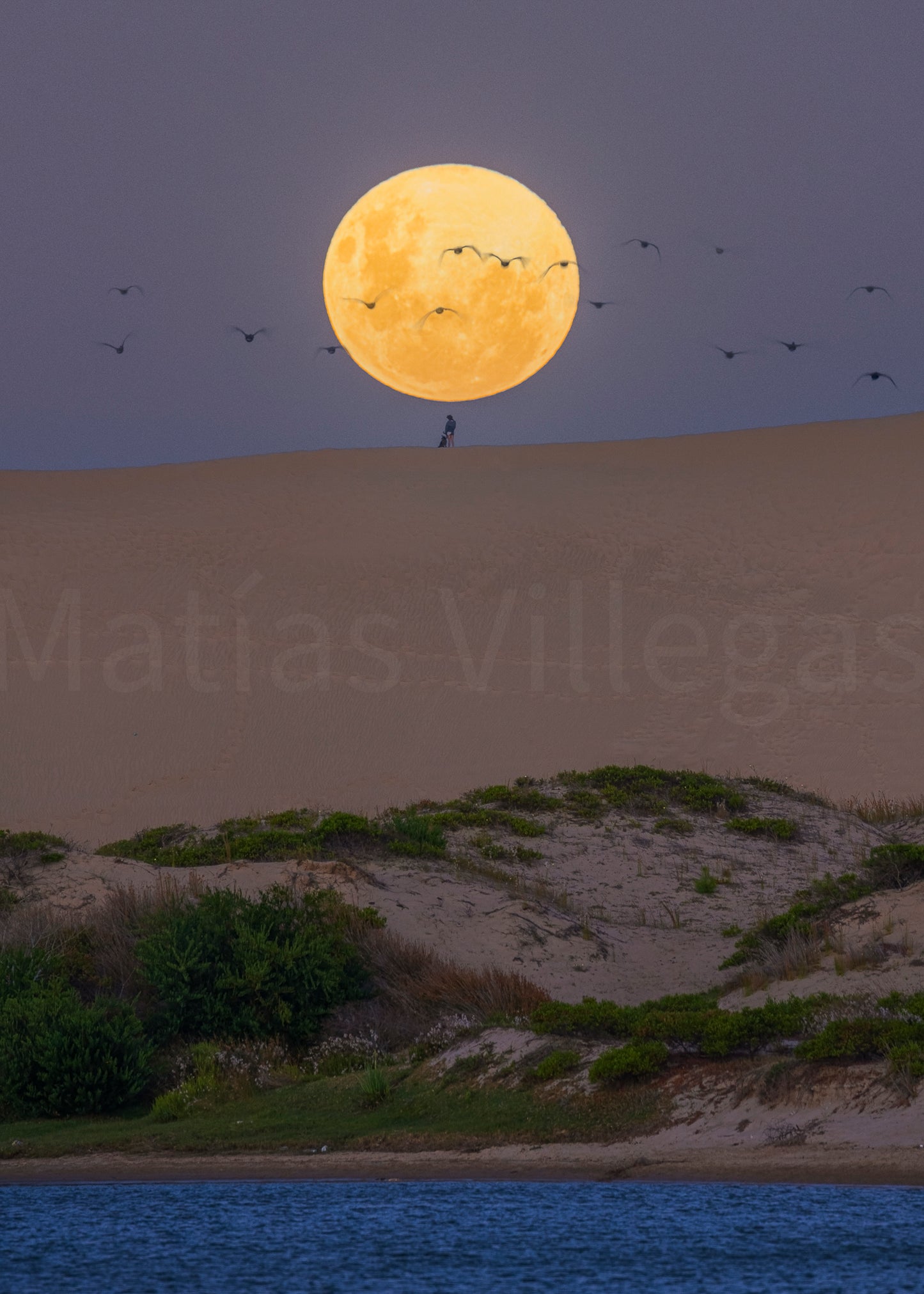 Luna sobre dunas