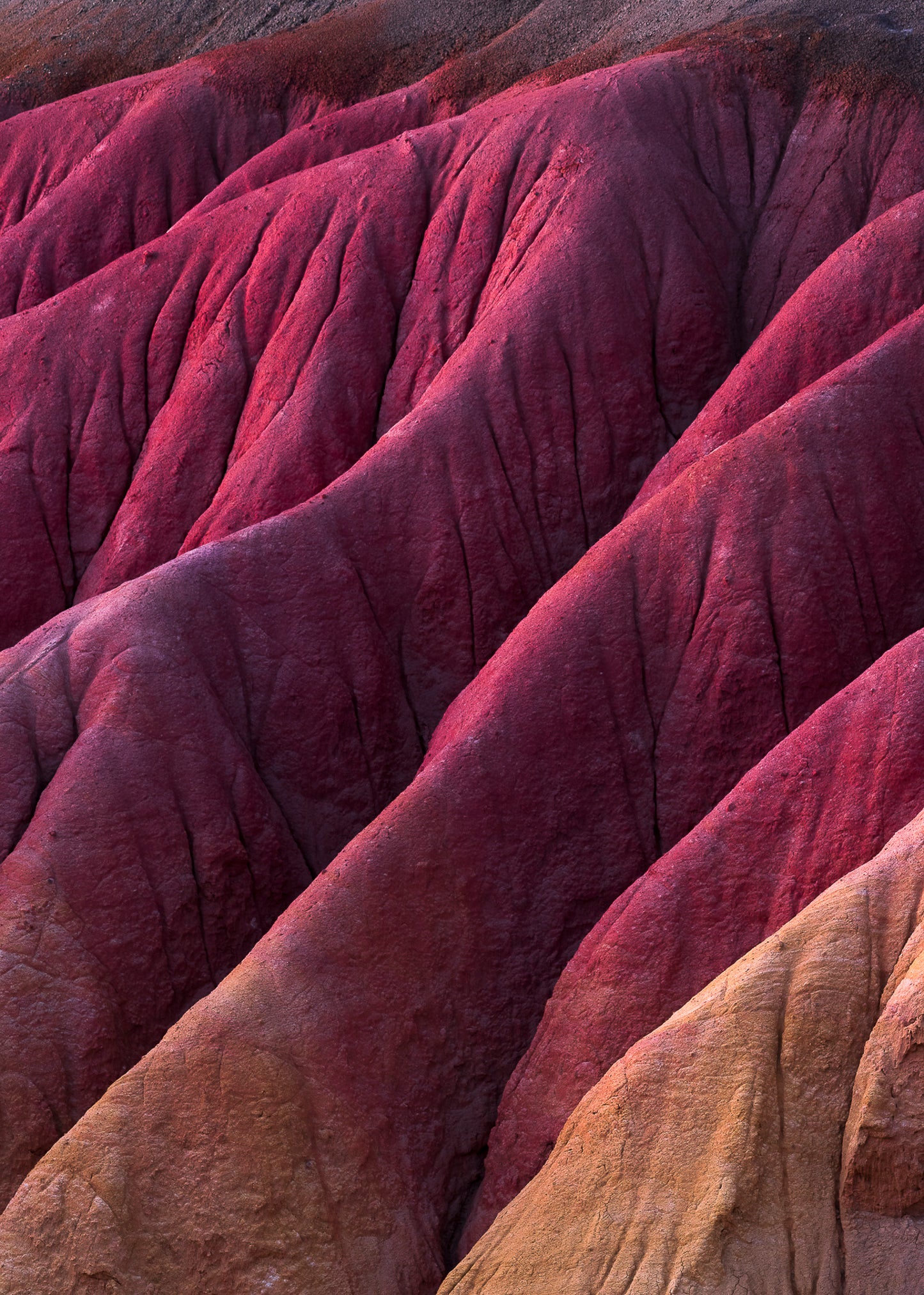 Tierra de colores y sus detalles