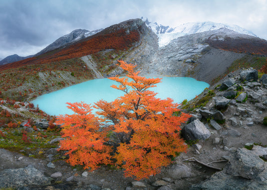 Laguna y Glaciar Huemul en Otoño